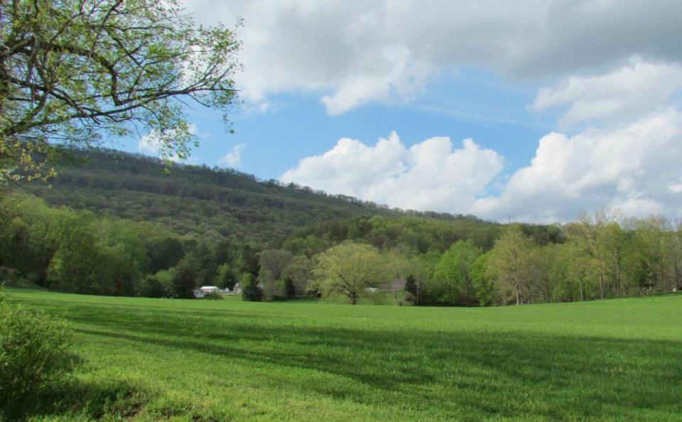 Little River Guest House At Tennessee Riverplace Chattanooga Luaran gambar