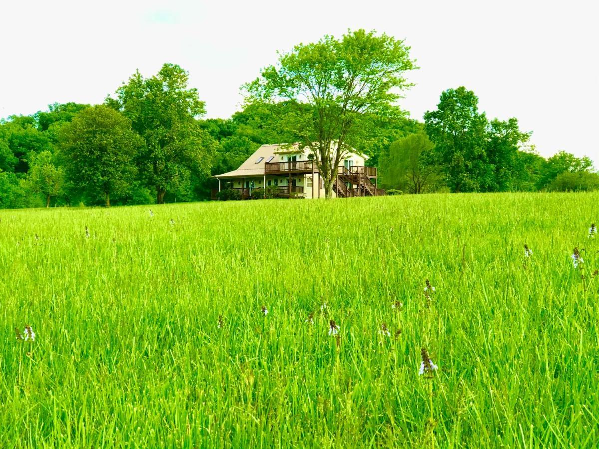 Little River Guest House At Tennessee Riverplace Chattanooga Luaran gambar