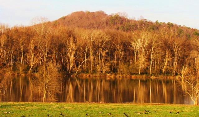 Little River Guest House At Tennessee Riverplace Chattanooga Luaran gambar