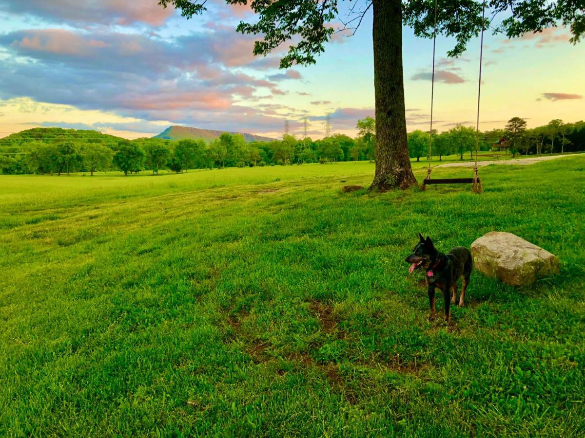 Little River Guest House At Tennessee Riverplace Chattanooga Luaran gambar