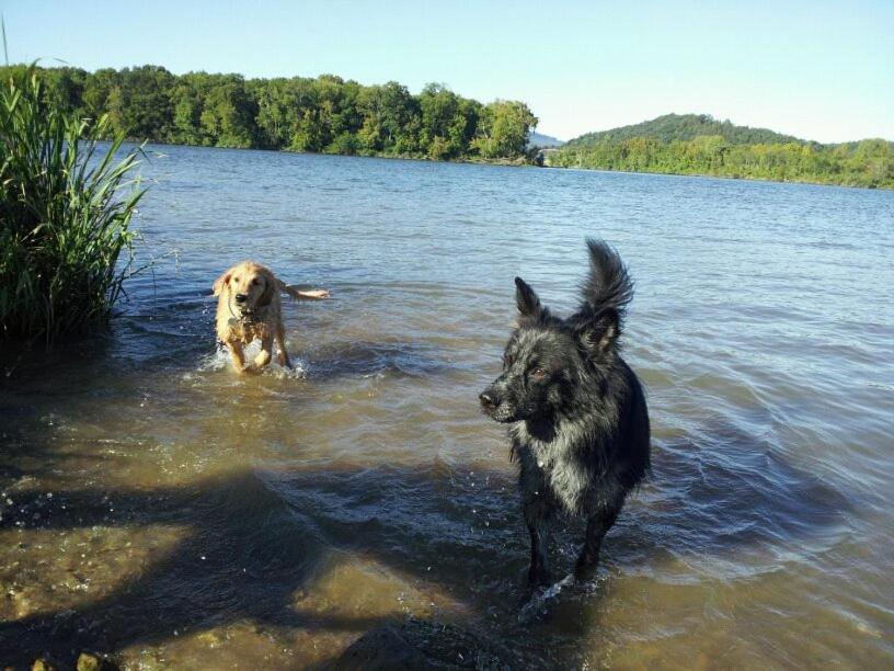 Little River Guest House At Tennessee Riverplace Chattanooga Luaran gambar